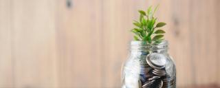 Banner für Blogbeitrag zum Thema sustainable finance zeigt Glas voll Münzen mit Pflanze