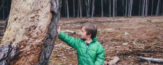 Banner für Blogbeitrag zum Thema Zivilrecht zeigt einen Bub im Wald