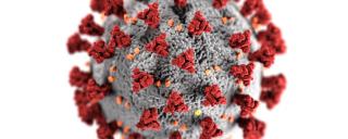 Banner für Blogbeitrag zum Thema Ausfallsbonus 2 zeigt ein Virus