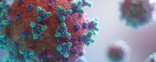 Banner für Blogbeitrag zum Thema Verlustersatz zeigt ein Virus